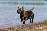 STAFFIE 164